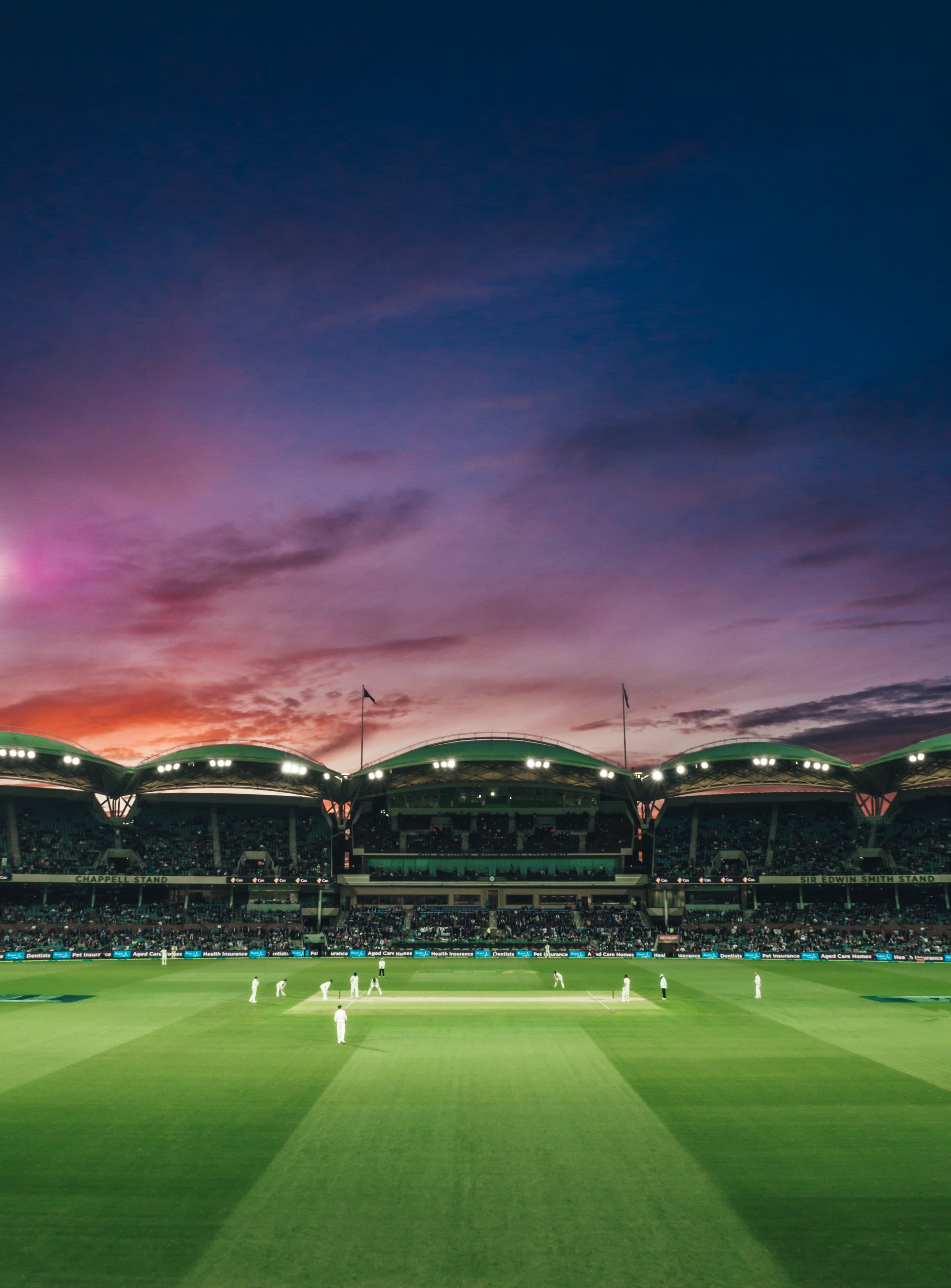 Cricket Background
